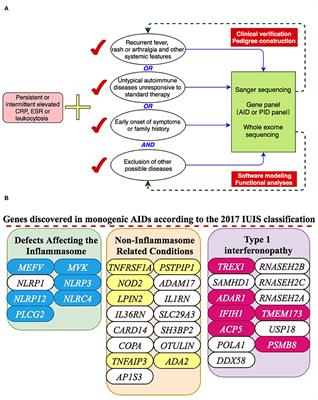 Single-Center Overview of Pediatric Monogenic Autoinflammatory Diseases in the Past Decade: A Summary and Beyond